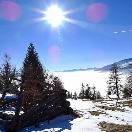 Apartment Pflüglhof