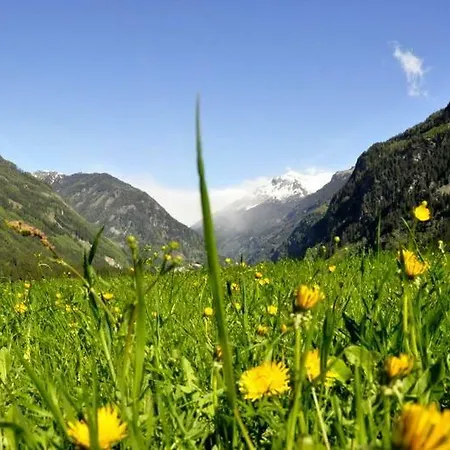 公寓 Pflueglhof 马耳他