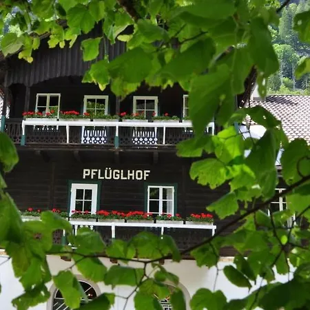 Apartment Pflueglhof *