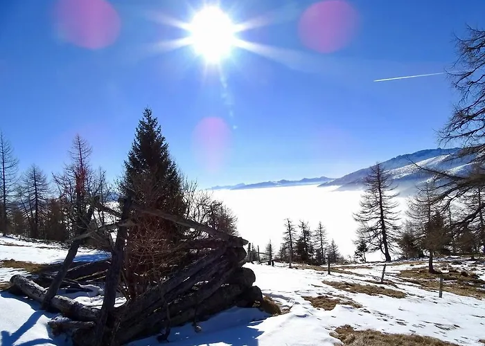 Apartment Pflüglhof